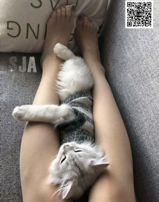 暖暖免费观看高清完整版电影
