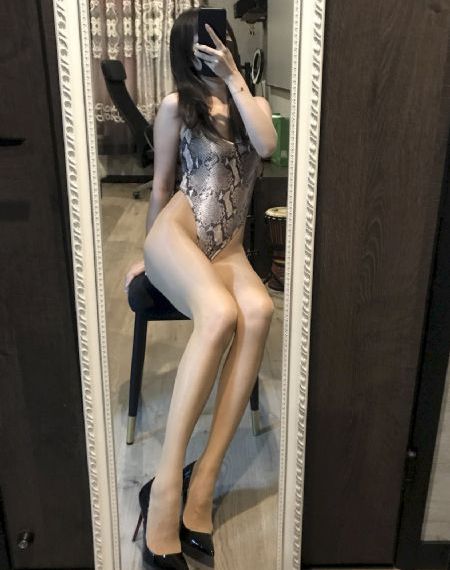 神宠进化动漫免费观看全集