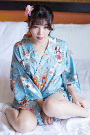 华丽的外出 在线