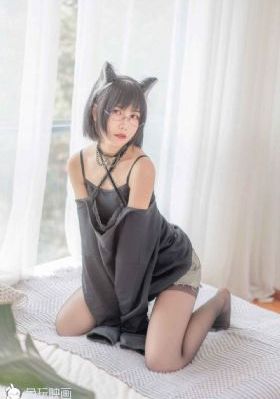与鸭共舞