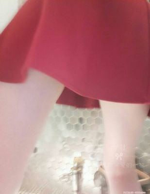 鸭乃桥论的禁忌推理
