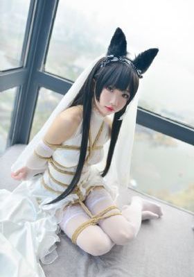 后宫露营动漫樱花在线观